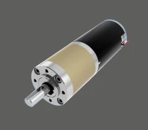 GMP56RP55ZY 12 V 24 V 56 Mm pavaros variklis garažo vartų arba mikro CNC įranga
