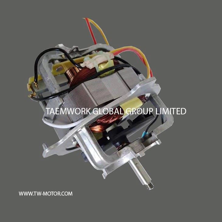 High Speed Mixer Motor