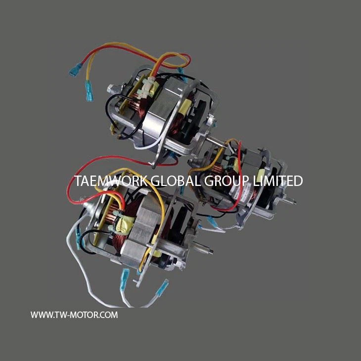 High Speed Mixer Motor