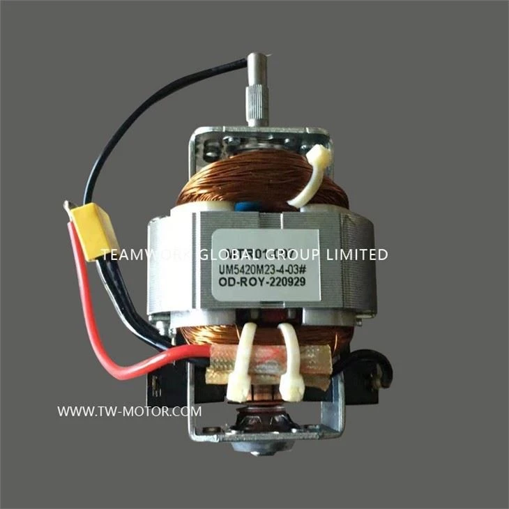 Multi-functional Grinder Motor