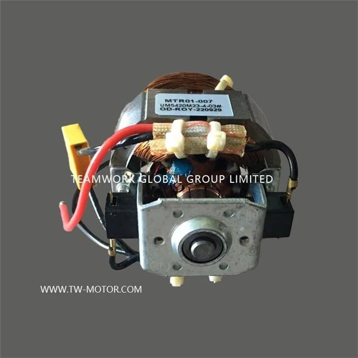 Multi-functional Grinder Motor
