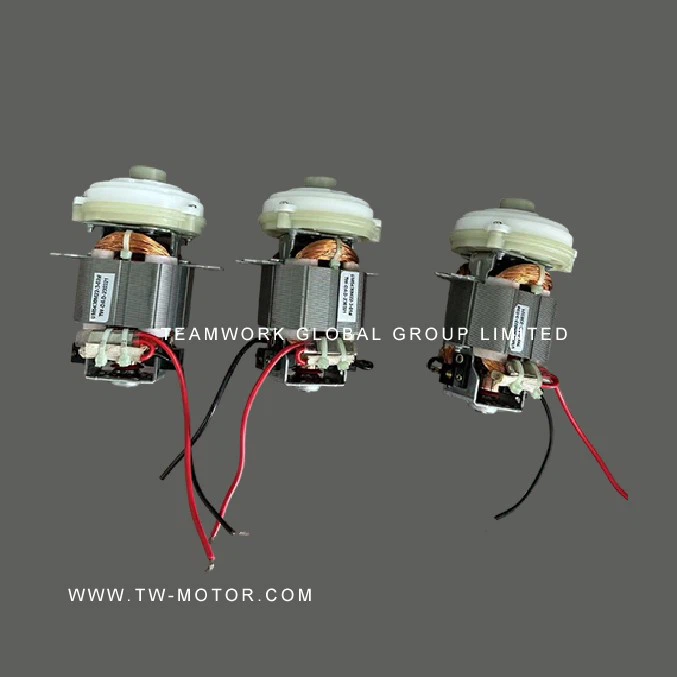 Electric Grinder Motor