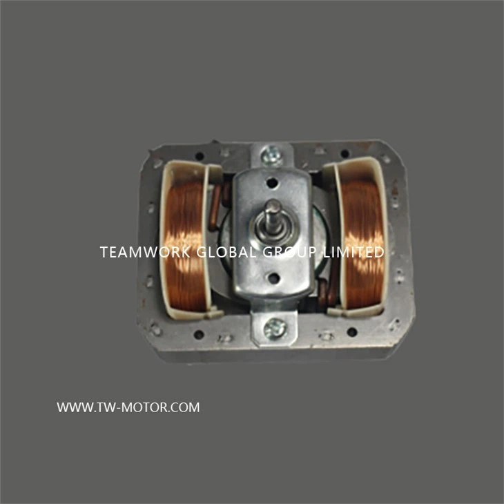 Mic-oven Motor