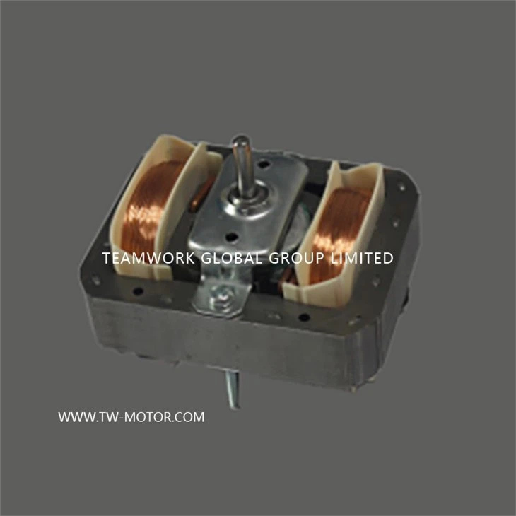 Mic-oven Motor