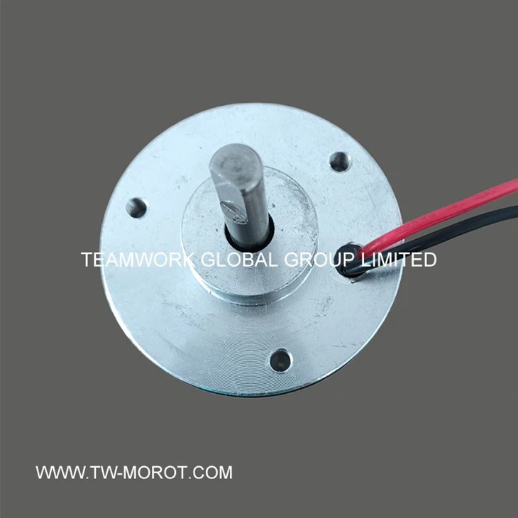 Professional Water Pump Motor